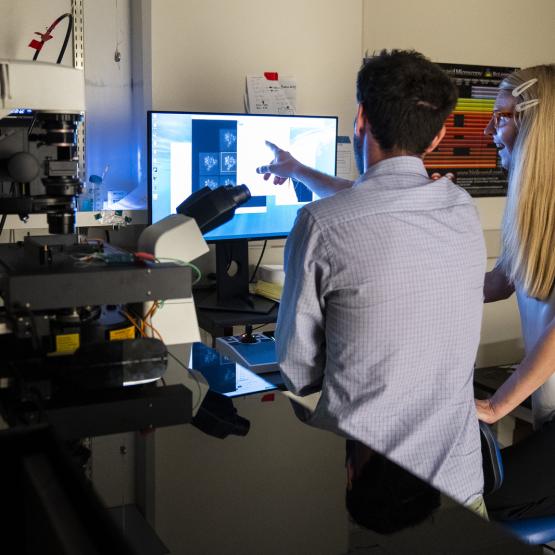 biomolecular-engineering-and-bioinformatics